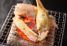 和倉温泉 加賀屋の写真（画像） - ホテル・旅館の宿泊予約はRelux（リラックス）