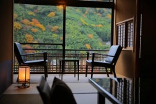 新しい「和」に魅せられて