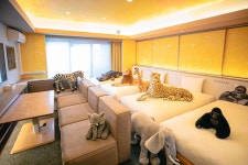 GOLD STAY 名古屋 栄の宿泊予約はRelux（リラックス）