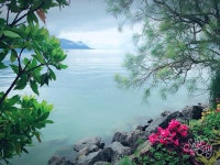 빌라 에덴 팔라스 오 락 (스위스 몽트뢰) - Booking.com ★★★★ 빌라 에덴 팔라스 오 락, 몽트뢰, 스위스