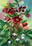 수채화 and 블로그 on Pinterest Цветы | Записи в рубрике Цветы | Дневник tinarisha : LiveInternet... 
