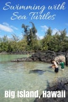 하와이 빅 아일랜드, 바다거북 and 거북이 on Pinterest Swimming with Sea Turtles in Hawaii