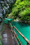 Slovenia, 국립공원 and 공원 on Pinterest Soteska Vintgar (Gorge / Klamm / Gola)