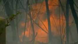 ‘Unprecedented’ Fires in Australia | The Weather Channel