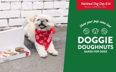 Krispy Kreme Selling Doggie Doughnuts for a Limited Time