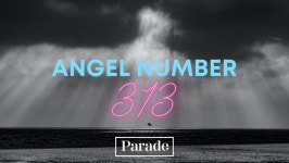 Angel Number 313—Why You’re Seeing It and What You Need To Know