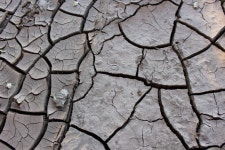 Extreme heat imperils health and traditional ways of life, lawmakers hear