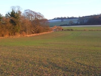 Farmland, Ewelme © Andrew Smith :: Geograph Britain and Ireland Farmland, Ewelme &copy; Andrew Smith