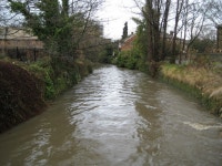 Hogsmill River in Kingston upon Thames © Nigel Cox cc-by-sa/2.0 :: Geograph Britain and Ireland Hogsmill River in Kingston upon... 