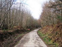 Access Road through Bedgebury Forest © Oast House Archive cc-by-sa/2.0 :: Geograph Britain and Ireland Access Road through... 