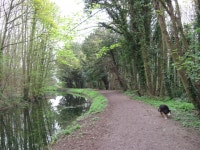 Wendover Arm: North of Perch Bridge the... © Chris Reynolds :: Geograph Britain and Ireland Wendover Arm: North of Perch Bridge... 