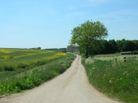 Track to Cross Thorns Farm © JThomas cc-by-sa/2.0 :: Geograph Britain and Ireland Track to Cross Thorns Farm &copy; JThomas cc... 