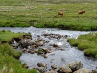 Confluence of the Suarbie Burn and the... © John Allan cc-by-sa/2.0 :: Geograph Britain and Ireland Confluence of the Suarbie... 