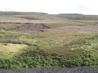 Westburnhope Moor © Mike Quinn cc-by-sa/2.0 :: Geograph Britain and Ireland Westburnhope Moor &copy; Mike Quinn cc-by-sa/2.0