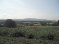Farmland south of Henfield © Paul Gillett cc-by-sa/2.0 :: Geograph Britain and Ireland Farmland south of Henfield &copy; Paul... 