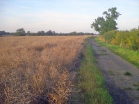Track south of Cropston Reservoir - 1 © Trevor Rickard :: Geograph Britain and Ireland Track south of Cropston Reservoir - 1... 