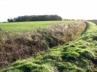 View along a curving ditch © Evelyn Simak cc-by-sa/2.0 :: Geograph Britain and Ireland View along a curving ditch &copy; Evelyn... 
