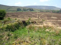 Rough grassland at Treanmacmurtagh (C) Oliver Dixon :: Geograph Britain and Ireland Rough grassland at Treanmacmurtagh (C) Oliver... 