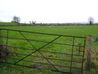 Kingarrow Townland © Kenneth Allen :: Geograph Britain and Ireland Kingarrow Townland &copy; Kenneth  Allen