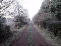 Track at Palacerigg Country Park © Robert Murray :: Geograph Britain and Ireland Track at Palacerigg Country Park &copy; Robert... 