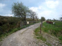 Farm road at Aghabehy (C) Oliver Dixon :: Geograph Britain and Ireland Farm road at Aghabehy (C) Oliver Dixon