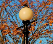 Church lamppost, Belfast © Albert Bridge cc-by-sa/2.0 :: Geograph Britain and Ireland Church lamppost, Belfast &copy; Albert... 