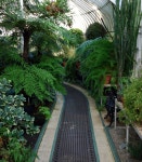 Interior of the Palm House © Rossographer cc-by-sa/2.0 :: Geograph Britain and Ireland Interior of the Palm House... 