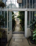 Interior of the Palm House © Rossographer cc-by-sa/2.0 :: Geograph Britain and Ireland Interior of the Palm House... 