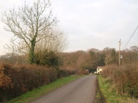 Lane at Blackmoor © Derek Harper cc-by-sa/2.0 :: Geograph Britain and Ireland Lane at Blackmoor &copy; Derek Harper cc-by-sa/2.0