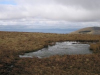 Boggy pond on the Diffwys ridge © Rudi Winter :: Geograph Britain and Ireland Boggy pond on the Diffwys ridge &copy; Rudi Winter