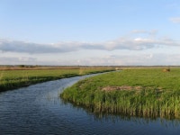 Horse Eye Sewer © Simon Carey :: Geograph Britain and Ireland Horse Eye Sewer &copy; Simon Carey