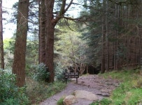 Warning to users of the riverside path... © Eric Jones cc-by-sa/2.0 :: Geograph Britain and Ireland Warning to users of the... 