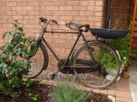 Bicycle, Harold McCauley House, Omagh © Kenneth Allen cc-by-sa/2.0 :: Geograph Britain and Ireland Bicycle, Harold McCauley... 