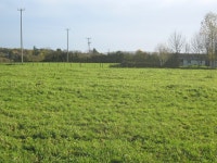 Grazing land near Wadborough © Trevor Rickard cc-by-sa/2.0 :: Geograph Britain and Ireland Grazing land near Wadborough... 