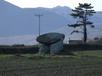 Slidderyford (Wateresk) Dolmen with the... © Chris Burrell :: Geograph Britain and Ireland Slidderyford (Wateresk) Dolmen with... 