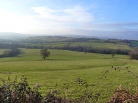 © Ruth Sharville cc-by-sa/2.0 :: Geograph Britain and Ireland... from farm track entrance,... &copy; Ruth Sharville cc-by-sa/2.0