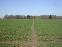 Broom Hill, footpath © Mike Faherty cc-by-sa/2.0 :: Geograph Britain and Ireland Broom Hill, footpath &copy; Mike Faherty cc-by... 