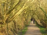 Footpath to the Trout Inn © Colin Smith :: Geograph Britain and Ireland Footpath to the Trout Inn &copy; Colin Smith