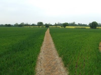 Clear Path © Keith Evans cc-by-sa/2.0 :: Geograph Britain and Ireland Clear Path &copy; Keith Evans cc-by-sa/2.0