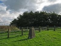 Trig point at Whitehill © Trevor Littlewood cc-by-sa/2.0 :: Geograph Britain and Ireland Trig point at Whitehill &copy; Trevor... 