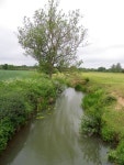 River Rother, Salehurst © Maigheach-gheal cc-by-sa/2.0 :: Geograph Britain and Ireland River Rother, Salehurst &copy; Maigheach... 