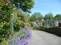 Gorgie City Farm © kim traynor :: Geograph Britain and Ireland Gorgie City Farm &copy; kim traynor