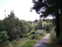 Access path from the Nature Trail to the... © Eric Jones cc-by-sa/2.0 :: Geograph Britain and Ireland Access path from the... 