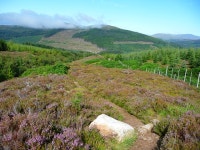 The Ben Wyvis path © John Allan cc-by-sa/2.0 :: Geograph Britain and Ireland The Ben Wyvis path &copy; John Allan cc-by-sa/2.0