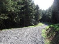 New road surface, Benarty Wood © Richard Webb :: Geograph Britain and Ireland New road surface, Benarty Wood &copy; Richard Webb