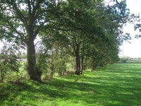 Field by Laughton Park Farm © Oast House Archive cc-by-sa/2.0 :: Geograph Britain and Ireland Field by Laughton Park Farm... 