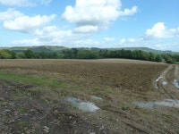 View north to Haslemere © Dave Spicer cc-by-sa/2.0 :: Geograph Britain and Ireland View north to Haslemere &copy; Dave Spicer cc... 