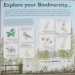 Explore your Diversity information... © Kenneth Allen cc-by-sa/2.0 :: Geograph Britain and Ireland Explore your Diversity... 