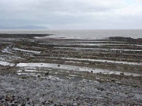 Wave-cut platform at Kilve Beach © Oliver Dixon cc-by-sa/2.0 :: Geograph Britain and Ireland Wave-cut platform at Kilve Beach... 