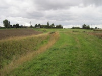 Field Path to Olive Bush Farm © Martin Dawes :: Geograph Britain and Ireland Field  Path  to  Olive  Bush  Farm &copy; Martin Dawes